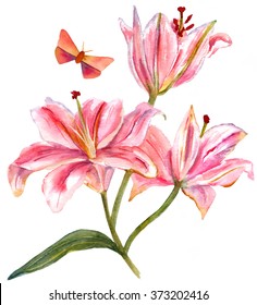 A watercolor drawing bouquet lilies and butterfly  white background