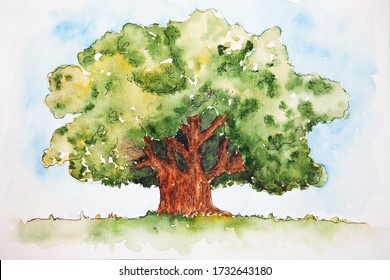 Watercolor Big Tree Images, Stock Photos & Vectors | Shutterstock