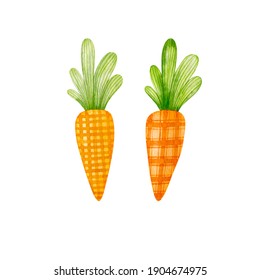 Watercolor drawing carrots isolated on white background.