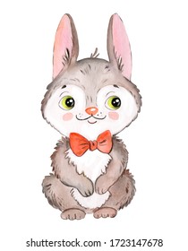 Watercolor Drawing Of A Cartoon Hare, Pet, Rabbit