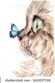 watercolor drawing cat and butterfly his nose  sketch