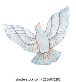 Watercolor Drawing Of A Dove Flying Up. Isolated On White Background. Symbol Of Peace And Freedom.