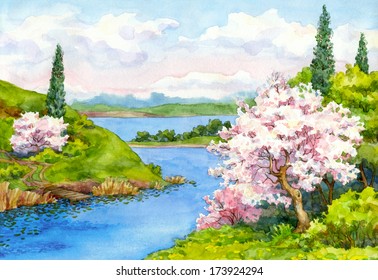 Watercolor Drawing. Flowering Trees On The Banks Of The Winding River