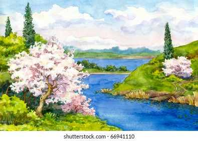 Watercolor Drawing. Flowering Trees On The Banks Of The Winding River