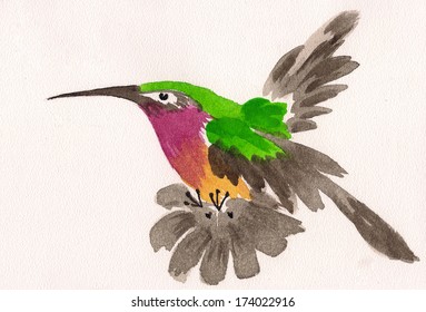 watercolor drawing flying hummingbird  small bird