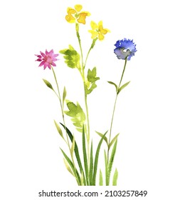 watercolor drawing green grass and wild flowers at white background, hand drawn illustration - Shutterstock ID 2103257849