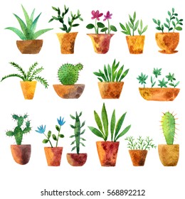 Watercolor Drawing House Plants, Cacti And Succulents, Hand Drawn Illustration