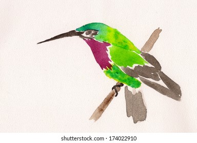 watercolor drawing hummingbird branch  small bird