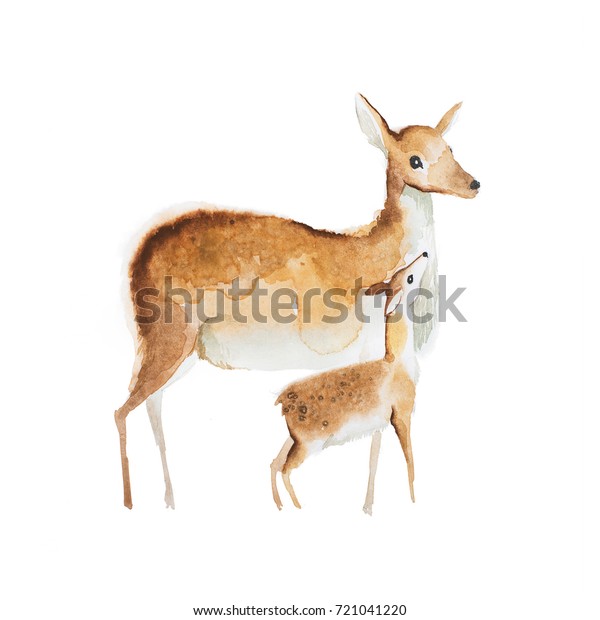 母鹿と子鹿の水彩画 のイラスト素材