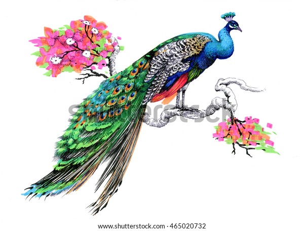 白い背景に花の木の枝に孔雀の水彩 のイラスト素材 465020732