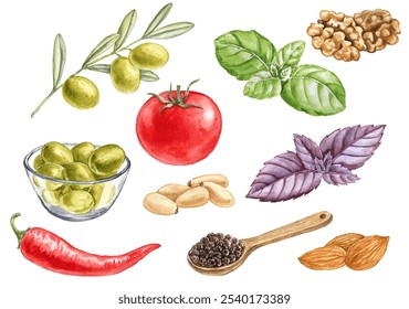 watercolor drawing pesto ingredients, basil leaves, olives, red tomato, chili pepper, garlic and nuts, hand drawn illustration - Powered by Shutterstock