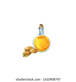 watercolor drawing pistachio oil, bottle of vegetable oil and nuts, hand drawn illustration