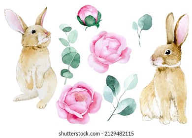 watercolor drawing  set elements for easter  cute easter bunnies  pink rose flowers   eucalyptus leaves 