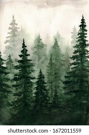 Watercolor Drawing. Spruce Green Forest.