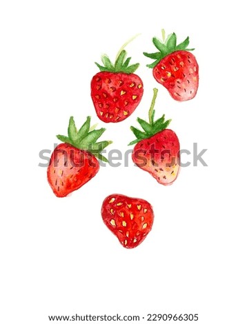 
Watercolor drawing of a strawberry on a white background.

