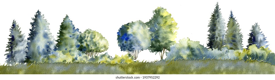 watercolor drawing summer landscape with trees silhouettes at white background, natural template, hand drawn illustration
