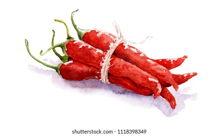 Watercolor Drawing Of Vegetables. A Bunch Of Hot Chilli Peppers