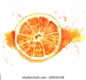Watercolor Orange Fruit Images Stock Photos Vectors Shutterstock