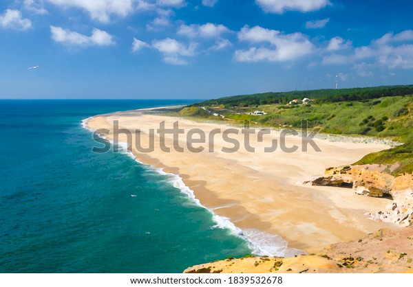 夏のナザレ海岸の素晴らしい海岸線の風景 大西洋の青い水の広い海岸 ナザレの崖 空を飛ぶカモメ ポルトガル のイラスト素材
