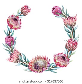 Watercolor Drawing Of A Wreath Isolated, Exotic Pink Flower Protea Flower Australia, Floral Vintage Frame Illustration Watercolor