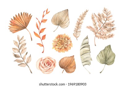 Watercolor dried tropical leaves, gentle flowers and pampas. Botanical floral design elements. Beige, green, orange palm leaves. Perfect for wedding invitations, packaging, greetings cards - Powered by Shutterstock