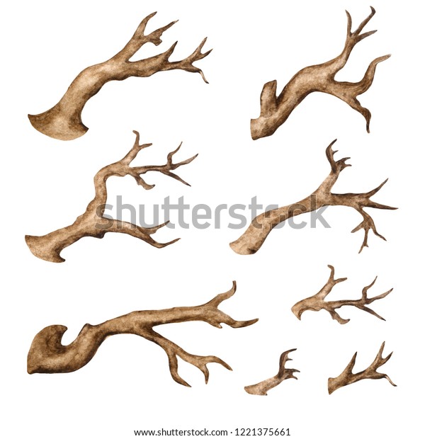 Watercolor Dry Tree Branches Set Isolated Stock Illustration 1221375661