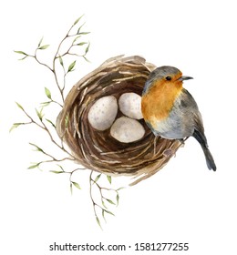 Robins Egg High Res Stock Images Shutterstock