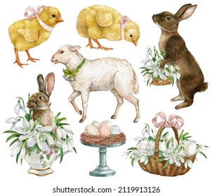 Watercolor Easter Elements Collection.Eggs And Dropflower Flowers, Baby Chick Bird, Lamb, Bunny. Spring Easter Postcard Illustration.Farmhouse, Countryside Clipart Set.