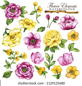 Watercolor elegant vintage yellow and pink flower element set