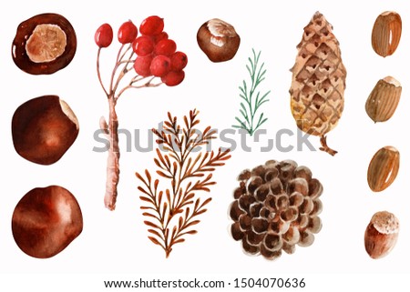 Watercolor elements and objects Bright lace autumn