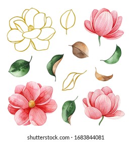 Elementos de acuarela sobre fondo blanco. Flores y hojas de magnolia. Ilustración pintada a mano. Ideal para bodas, duchas nupciales, invitaciones, motivos, papeles pintados, logo, textiles y mucho más