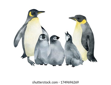Watercolor Emperor Penguin Family. Wild Northern Antarctic Animals. Cute Grey Bird.
