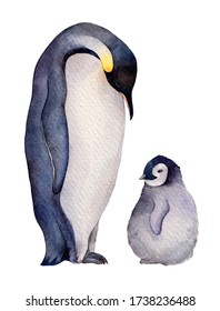 Watercolor Emperor Penguins Family Adult And Child. Hand Drawn Illustration Isolated On White Background.