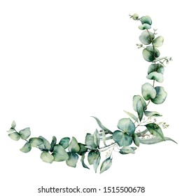 Watercolor eucalyptus border . Hand painted eucalyptus branch and leaves isolated on white background. Floral illustration for design, print, fabric or background