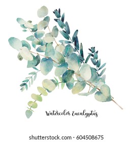 Watercolor eucalyptus bouquet. Hand painted floral illustration with object isolated on white background. 