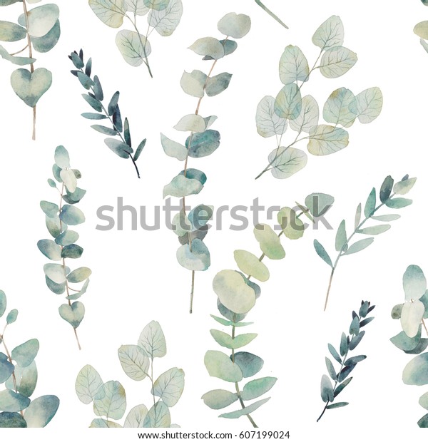 ユーカリの水彩枝のシームレス模様 白い背景に手描きの花柄のテクスチャーと植物のオブジェクト ナチュラル壁紙 のイラスト素材