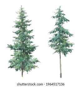 Watercolor Evergreen Tree Set. Hand Painted Forest Trees Isolated On White Background