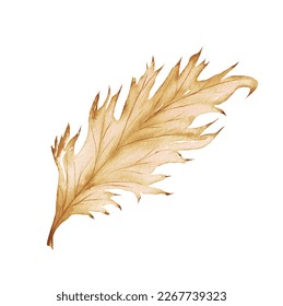 Watercolor exotic dry twig with gold textures. Hand painted boho leaves isolated on white background. Floral illustration for design, print, fabric or background. - Shutterstock ID 2267739323