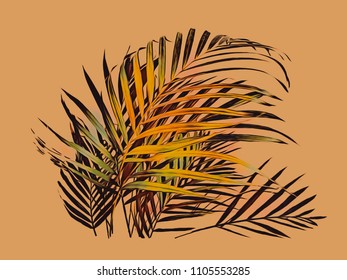 Watercolor exotic leaves  Hand painted illustration 