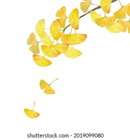 Watercolor Fall Ginkgo Tree Isolated