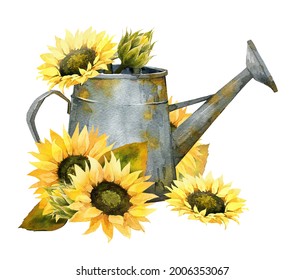 Watercolor Fall Sunflower Rustic Clipart Autumn Stock Illustration ...