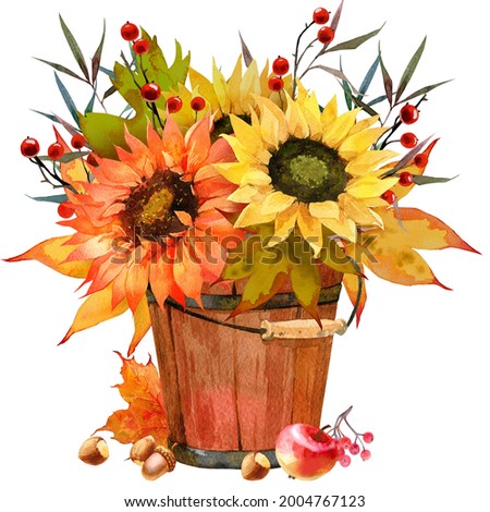 Watercolor Fall Sunflower , rustic clipart. Autumn Harvest Clip Art, Thanksgiving Day art,