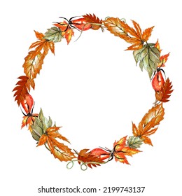 Watercolor Fall Wreath, Autumn Frame With Leawes And Berries, Isolated On White Background