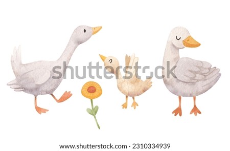 Watercolor family of three white geese. Hand drawn watercolor children's illustration. Сute farm birds, domestic pet.