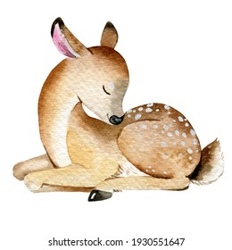 Watercolor Fawn Illustration Hand Painted Stock Illustration 1930551647 ...