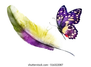 Watercolor feather and butterfly white as symbol lightness