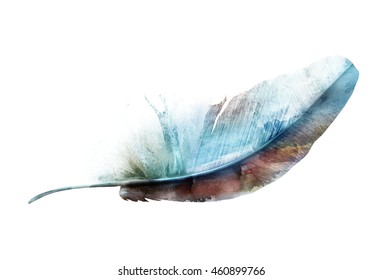 Watercolor feather white