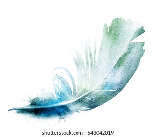 Watercolor feather white
