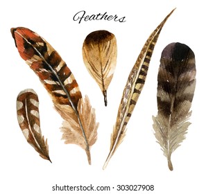 Watercolor Feather Set, Hand Drawn Illustration Isolated On White Background