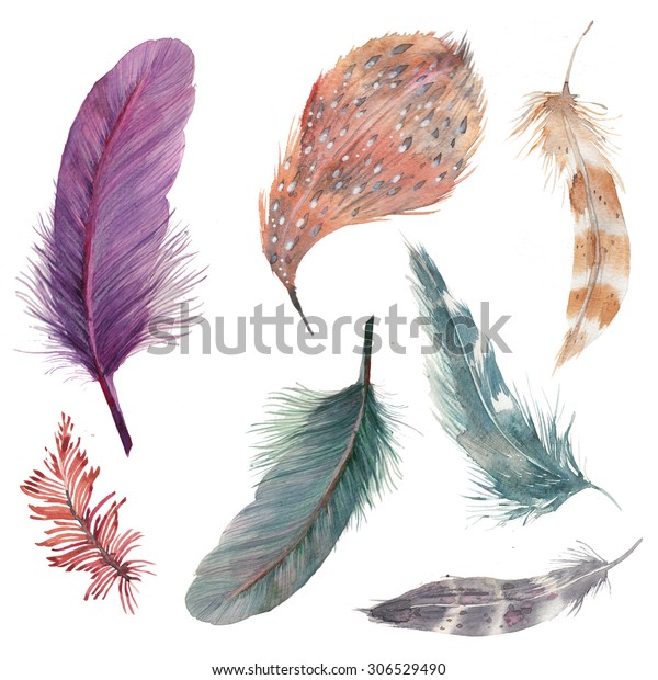 5,372 Plume Pack Images, Stock Photos & Vectors | Shutterstock